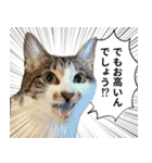うずめの毎日4（個別スタンプ：36）