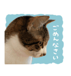 うずめの毎日4（個別スタンプ：38）