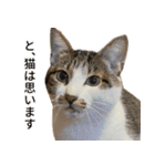 うずめの毎日4（個別スタンプ：40）