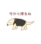 のんびり会話するミナミコアリクイ（個別スタンプ：23）