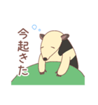 のんびり会話するミナミコアリクイ（個別スタンプ：24）
