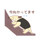 のんびり会話するミナミコアリクイ（個別スタンプ：25）