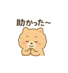 会計士試験 答練B判定 ポメラニアン（個別スタンプ：6）