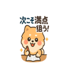 会計士試験 答練B判定 ポメラニアン（個別スタンプ：21）