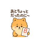 会計士試験 答練B判定 ポメラニアン（個別スタンプ：30）