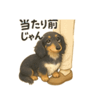 言ってみたかっただけのトニー（個別スタンプ：3）