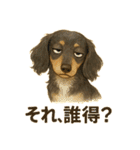 言ってみたかっただけのトニー（個別スタンプ：9）