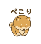 しばポコ（個別スタンプ：3）