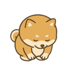 しばポコ（個別スタンプ：4）