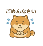 しばポコ（個別スタンプ：13）