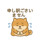 しばポコ（個別スタンプ：15）