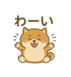 しばポコ（個別スタンプ：17）