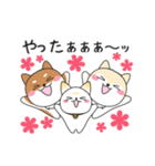 あずきなこはくのお仕事（個別スタンプ：6）