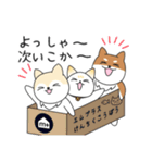 あずきなこはくのお仕事（個別スタンプ：13）