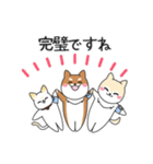 あずきなこはくのお仕事（個別スタンプ：22）