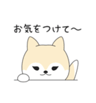 あずきなこはくのお仕事（個別スタンプ：27）