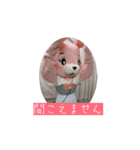 動く！着ぐるみサークルスタンプ2（個別スタンプ：11）