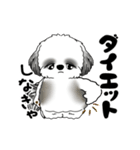 B＆W 動くシーズー犬 2025 「ダイエット」（個別スタンプ：1）
