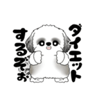 B＆W 動くシーズー犬 2025 「ダイエット」（個別スタンプ：2）