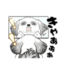 B＆W 動くシーズー犬 2025 「ダイエット」（個別スタンプ：3）