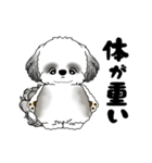 B＆W 動くシーズー犬 2025 「ダイエット」（個別スタンプ：7）