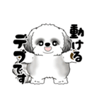 B＆W 動くシーズー犬 2025 「ダイエット」（個別スタンプ：9）
