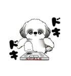 B＆W 動くシーズー犬 2025 「ダイエット」（個別スタンプ：11）