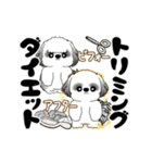 B＆W 動くシーズー犬 2025 「ダイエット」（個別スタンプ：13）