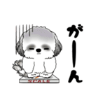 B＆W 動くシーズー犬 2025 「ダイエット」（個別スタンプ：16）