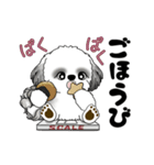 B＆W 動くシーズー犬 2025 「ダイエット」（個別スタンプ：18）