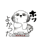 B＆W 動くシーズー犬 2025 「ダイエット」（個別スタンプ：19）