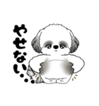 B＆W 動くシーズー犬 2025 「ダイエット」（個別スタンプ：20）