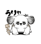 B＆W 動くシーズー犬 2025 「ダイエット」（個別スタンプ：21）