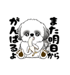 B＆W 動くシーズー犬 2025 「ダイエット」（個別スタンプ：24）