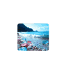 夕暮れの海.流木.瓶.シーグラス.Sea.shells（個別スタンプ：3）