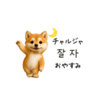 踊る豆柴と♡韓国語でおしゃべり（個別スタンプ：6）