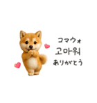 踊る豆柴と♡韓国語でおしゃべり（個別スタンプ：8）