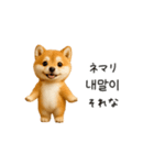 踊る豆柴と♡韓国語でおしゃべり（個別スタンプ：12）