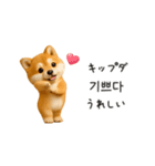 踊る豆柴と♡韓国語でおしゃべり（個別スタンプ：13）