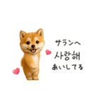 踊る豆柴と♡韓国語でおしゃべり（個別スタンプ：16）