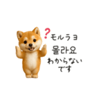 踊る豆柴と♡韓国語でおしゃべり（個別スタンプ：24）