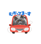 トム君チャンネルの公式スタンプ6です。（個別スタンプ：7）