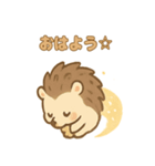 ほうき星ハリネズミ☆（個別スタンプ：1）