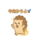 ほうき星ハリネズミ☆（個別スタンプ：10）