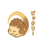 ほうき星ハリネズミ☆（個別スタンプ：13）