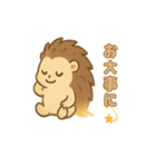 ほうき星ハリネズミ☆（個別スタンプ：20）