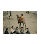 二十世紀中国紀行（個別スタンプ：27）