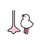 動く！フラミンゴの赤ちゃん（個別スタンプ：6）