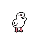 動く！フラミンゴの赤ちゃん（個別スタンプ：11）