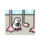 動く！フラミンゴの赤ちゃん（個別スタンプ：24）